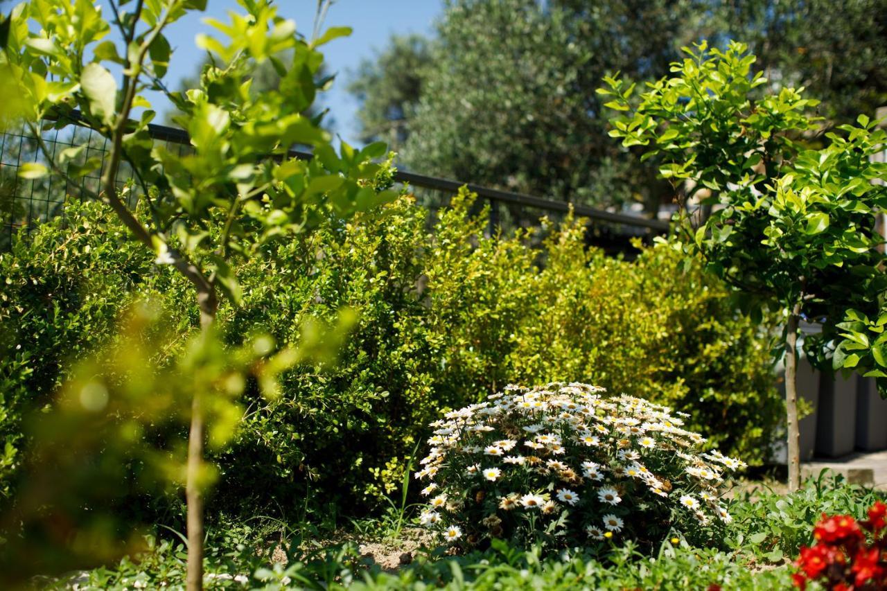 Villa Casa Del Saraceno à Massa Lubrense Extérieur photo